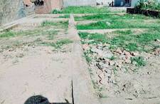 Residential Plot in Shiv Colony