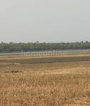 Agricultural Land in Mandideep