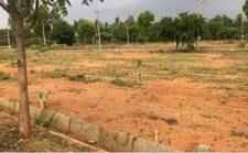 Residential Plot in Dhan City, Ujjain Road