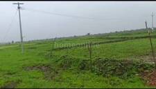 Agricultural Land in Raisen Road