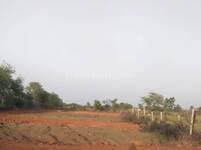 Residential Plot in Old Dhamtari Road