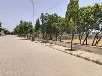 Residential Plot in Manglam City, Kalwar Road