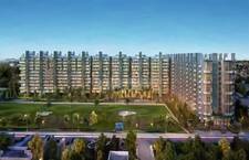 3 BHK Apartment in Sector 65