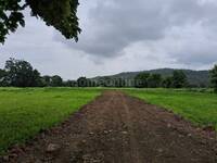 Agricultural Land in Khandwa Road