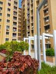 3 BHK Apartment for rent in Anandam World City, Kachna Road