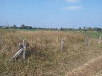 Agricultural Land in Khajuri Kalan