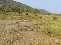 Commercial Land in Debari