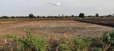 Commercial Land in Mandideep