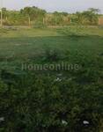 Residential Plot in Hoshangabad Road