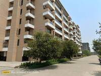 3 BHK Flat in Wallfort Woods, Barauda