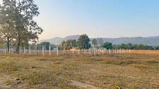 Residential Plot in Khandwa Road