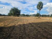 Residential Plot in Shadnagar