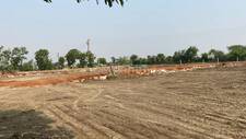 Residential Plot in Bhatagaon