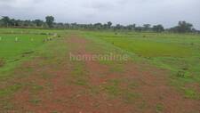 Residential Plot in Naya Raipur