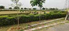 Residential Plot in Ansal Jkd Pearl Florence Township, Diggi Malpura Road