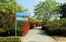 Residential Plot in Ajmer Road