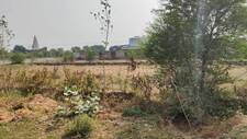 Residential Plot in Indira Gandhi Nagar