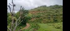 Agricultural Land in Bedla