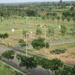 Residential Plot in Shankarpally