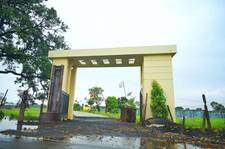 Residential Plot in Panagar