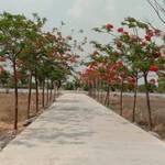 Residential Plot in Aranya City Of Woodland, Pacheda