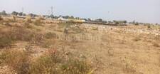 Residential Plot in Ring Road