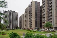 3 BHK Flat for rent in Apollo DB City, Nipania