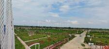 Residential Plot in RIYASAT ECO PARK, Vatika