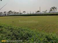 Residential Plot in Wallfort Greens, Amleshwar