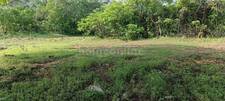 Agricultural Land in Udaipur