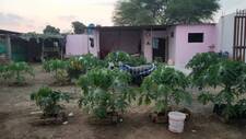 Farm House In Bhopal Farm House For Sale In Bhopal Homeonline