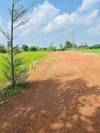 RESIDENTIAL PLOT 1000 sq- ft in Naya Raipur