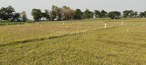 RESIDENTIAL PLOT 1000 sq- ft in Naubatpur