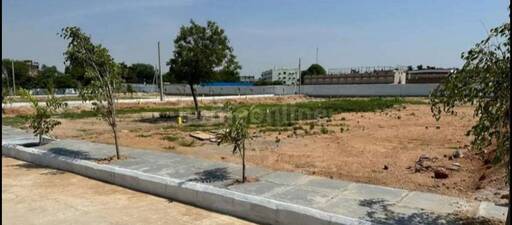 RESIDENTIAL PLOT 800 sq- ft in Napier Town