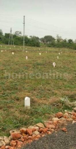 RESIDENTIAL PLOT 700 sq- ft in New Narsala Road