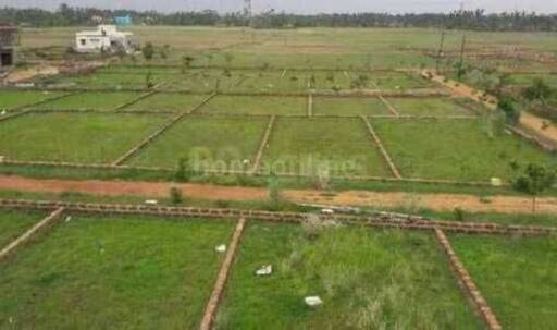 RESIDENTIAL PLOT 600 sq- ft in Bihta