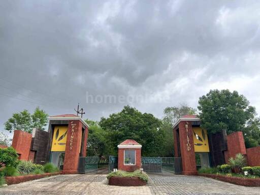 RESIDENTIAL PLOT 1800 sq- ft in Ujjain Road