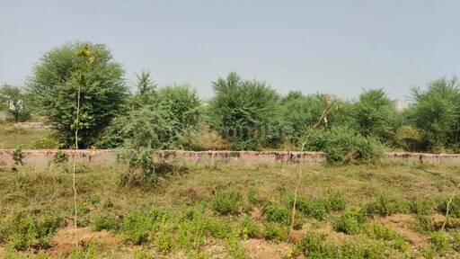 RESIDENTIAL PLOT 176 sq- yd in Jagatpura