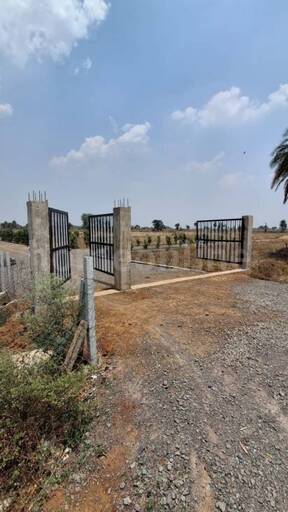 RESIDENTIAL PLOT 1200 sq- ft in Nayapara