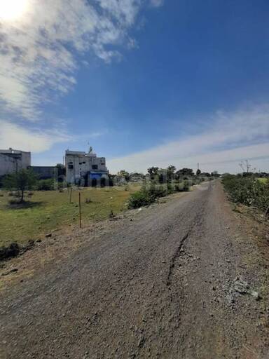 RESIDENTIAL PLOT 2250 sq- ft in Sanwar