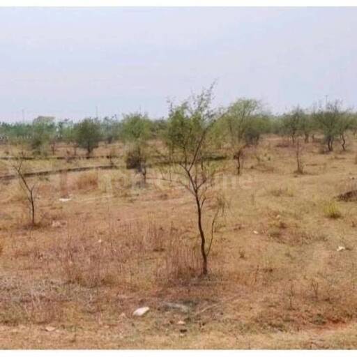 RESIDENTIAL PLOT 5000 sq- ft in Temri