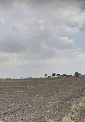 RESIDENTIAL PLOT 50000 sq- ft in Depalpur