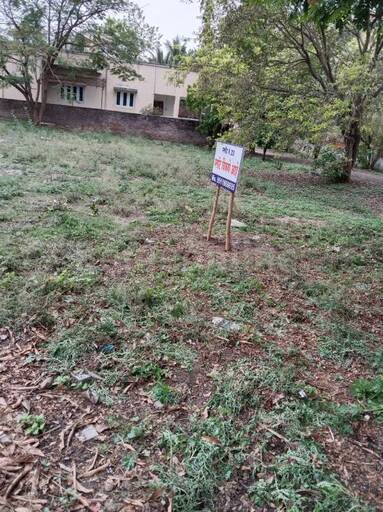 RESIDENTIAL PLOT 3120 sq- ft in Kanchanwadi