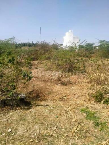 RESIDENTIAL PLOT 1000 sq- ft in Naharmagra