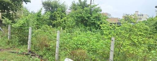 RESIDENTIAL PLOT 1500 sq- ft in Salaiya