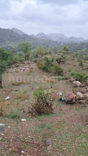 RESIDENTIAL PLOT 6800 sq- yd in Badi Lake Road