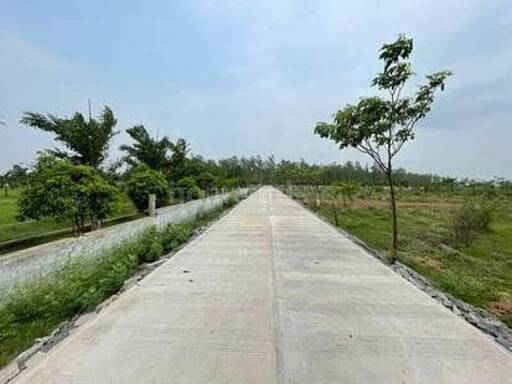 RESIDENTIAL PLOT 1500 sq- ft in Pacheda