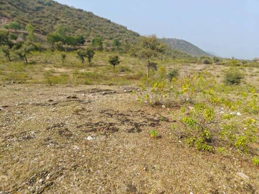 100000 sq- ft  Commercial land in Debari