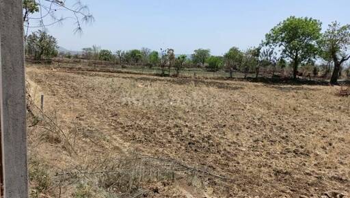 RESIDENTIAL PLOT 1200 sq- ft in Tilwara