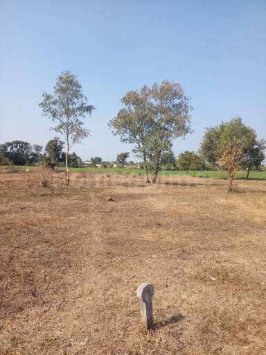 RESIDENTIAL PLOT 1000 sq- ft in Barkhedi